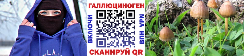 Галлюциногенные грибы MAGIC MUSHROOMS  Купить  Руза 